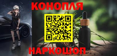 шишки Кинель