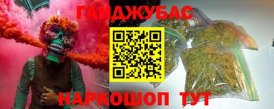 шишки Кинель