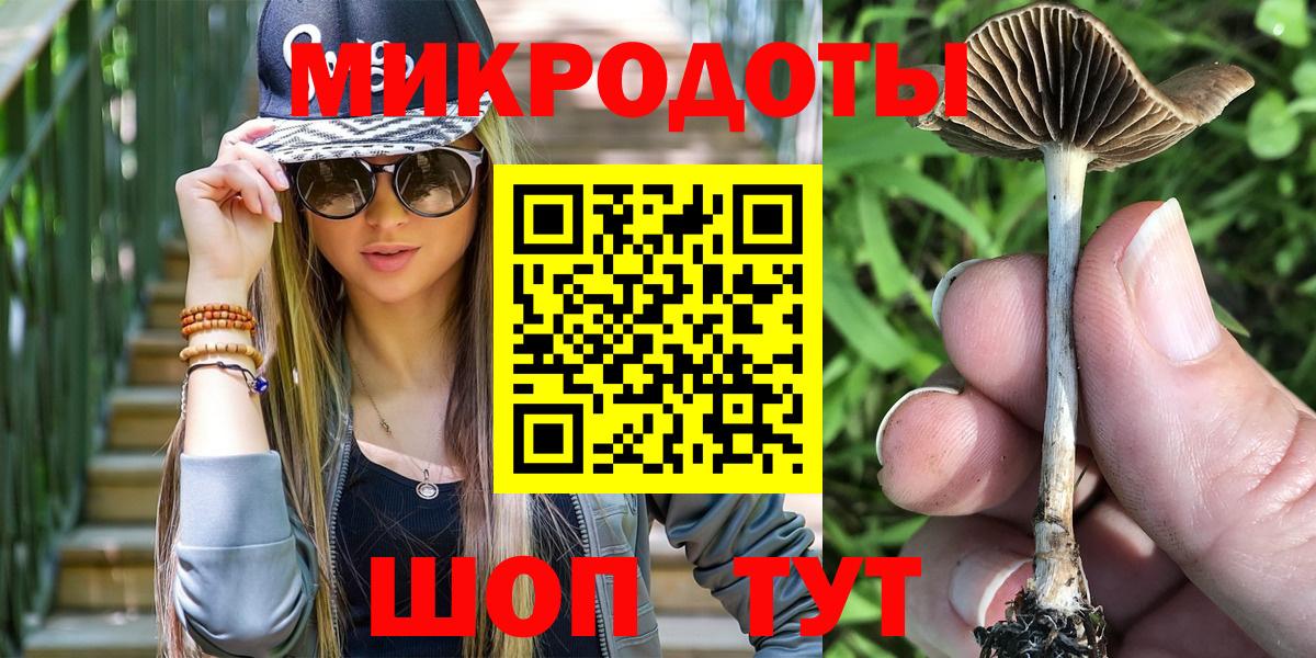 Псилоцибиновые грибы Psilocybe Вышний Волочёк